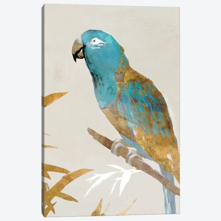 Blue Parrot II Canvas Print #ZEE92} by Isabelle Z Canvas Artwork