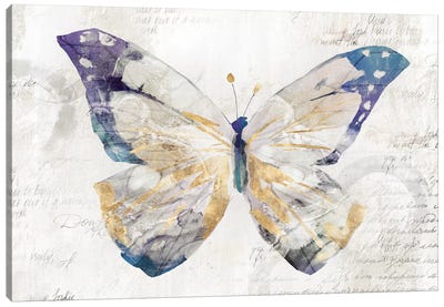 Butterfly Effect I  Canvas Art Print - Shabby Chic Décor
