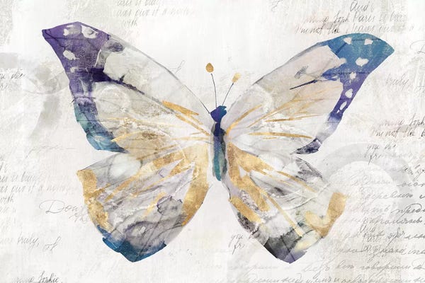 Shabby Chic Décor: Butterfly Effect I  by Isabelle Z
