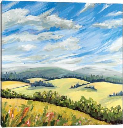 Wildeflower Meadow Canvas Art Print