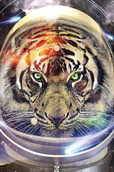 Astro Tiger by Vin Zzep multi panel art