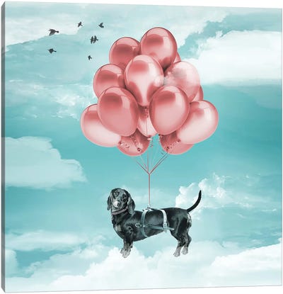 Sausage Dog Balloons Canvas Art Print - Nursery Room Art