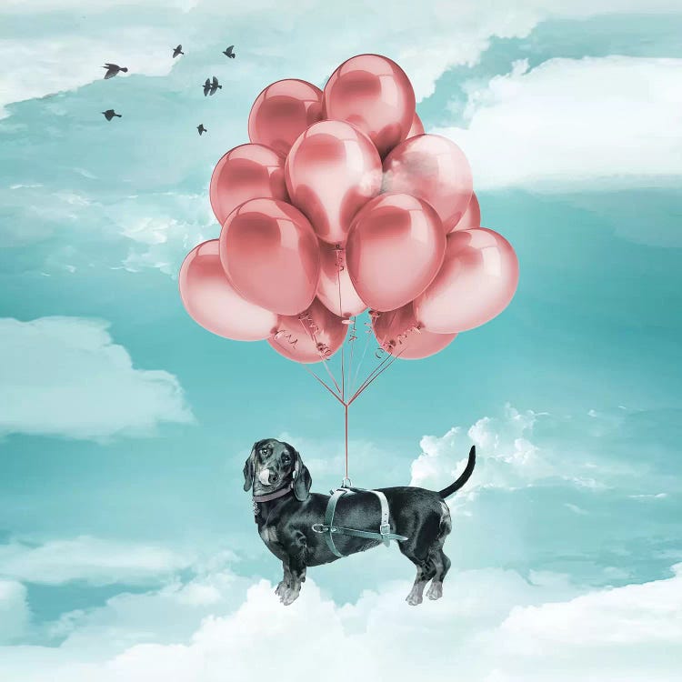 Sausage Dog Balloons