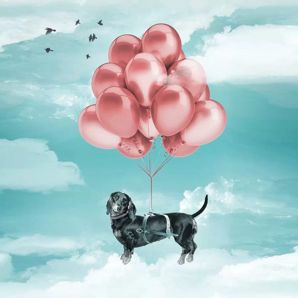 Balloons: Sausage Dog Balloons by Vin Zzep