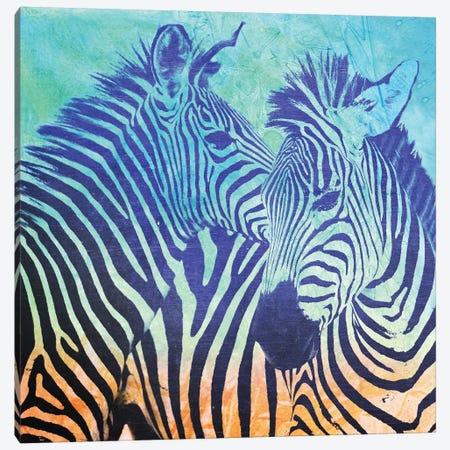 Teal Zebras Canvas Print #ZEP101} by Vin Zzep Canvas Wall Art