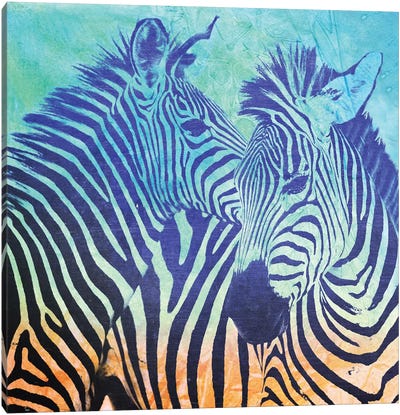 Teal Zebras Canvas Art Print - Vin Zzep