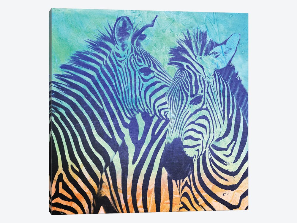 Teal Zebras by Vin Zzep 1-piece Canvas Artwork