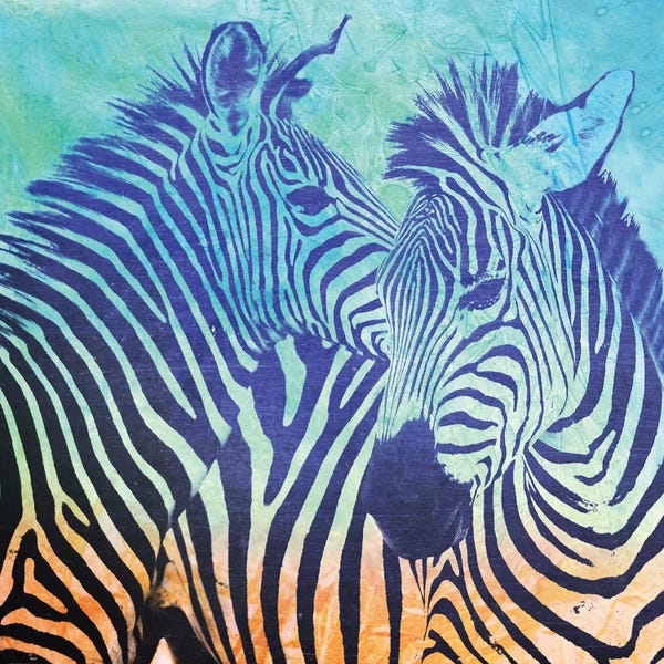 Zebras: Teal Zebras by Vin Zzep