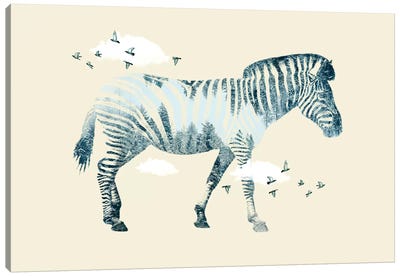 Zebra Dreaming Canvas Art Print - Vin Zzep