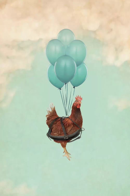 Chickens Can't Fly I by Vin Zzep wall art