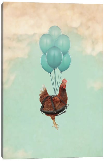 Chickens Can't Fly I Canvas Art Print - Chicken & Rooster Art