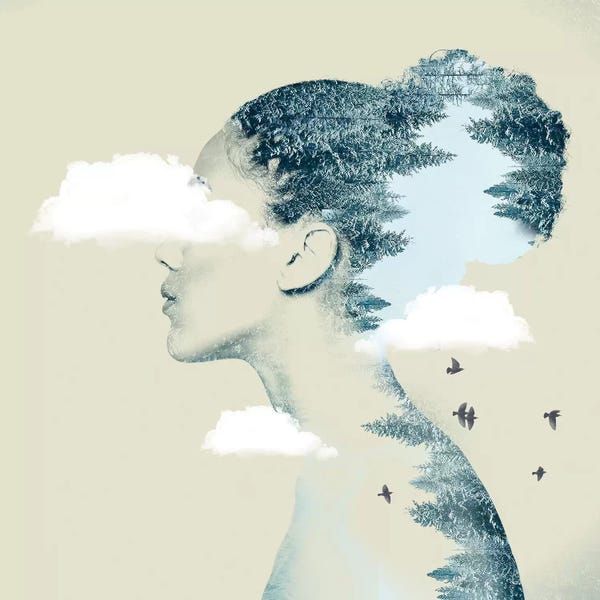 Double Exposure Photography: Double Exposure Hair I by Vin Zzep