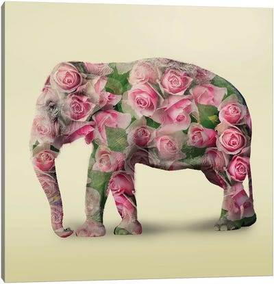 Elephant Flowers I Canvas Art Print - Vin Zzep
