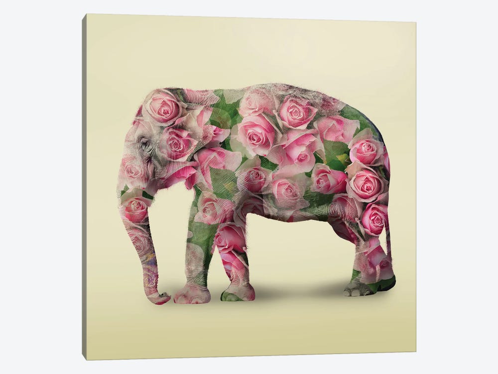 Elephant Flowers I by Vin Zzep 1-piece Canvas Art Print