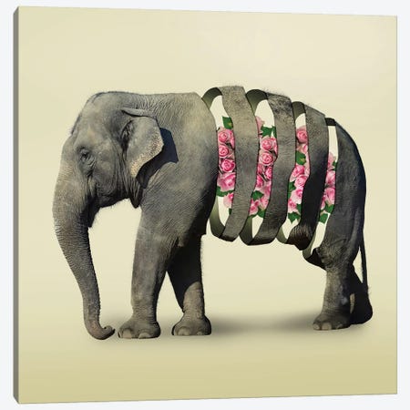 Elephant Flowers III Canvas Print #ZEP124} by Vin Zzep Canvas Art Print