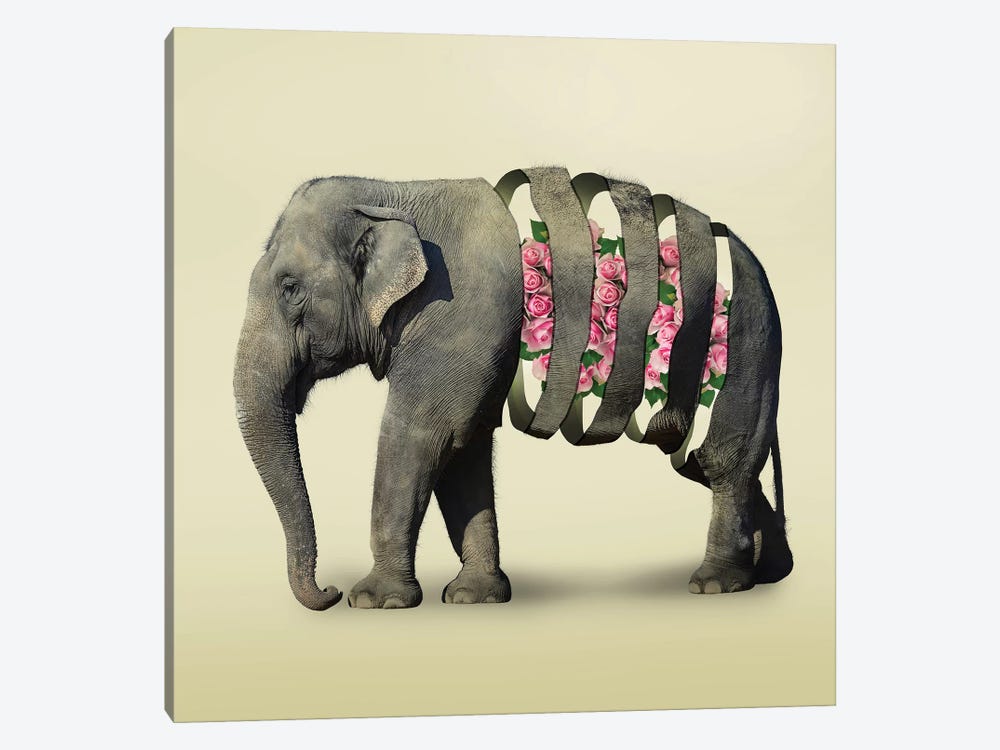 Elephant Flowers III by Vin Zzep 1-piece Canvas Print