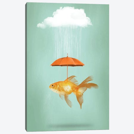 Fish Cover III Canvas Print #ZEP129} by Vin Zzep Canvas Artwork