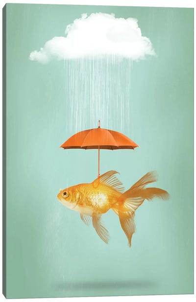 Fish Cover III Canvas Art Print - Rain Inspired