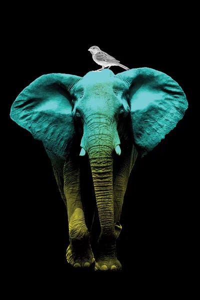 Friends For Life Fluoro by Vin Zzep acrylic art print