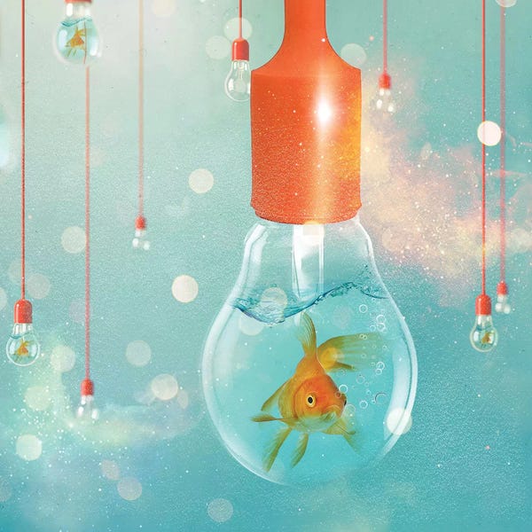 Goldfish: Goldfish Ideas II by Vin Zzep