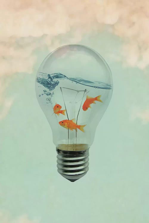 Ideas And Goldfish I