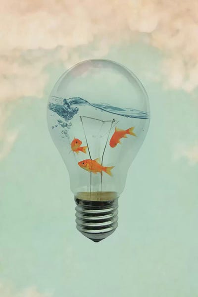 Kids Ocean Life Art: Ideas And Goldfish I by Vin Zzep