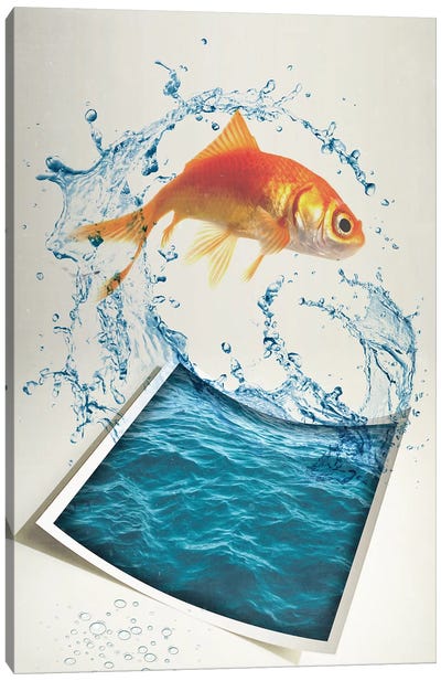 Jumping Goldfish II Canvas Art Print - Kids Ocean Life Art
