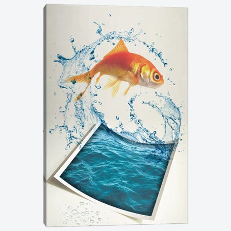 Jumping Goldfish II Canvas Print #ZEP146} by Vin Zzep Canvas Art Print