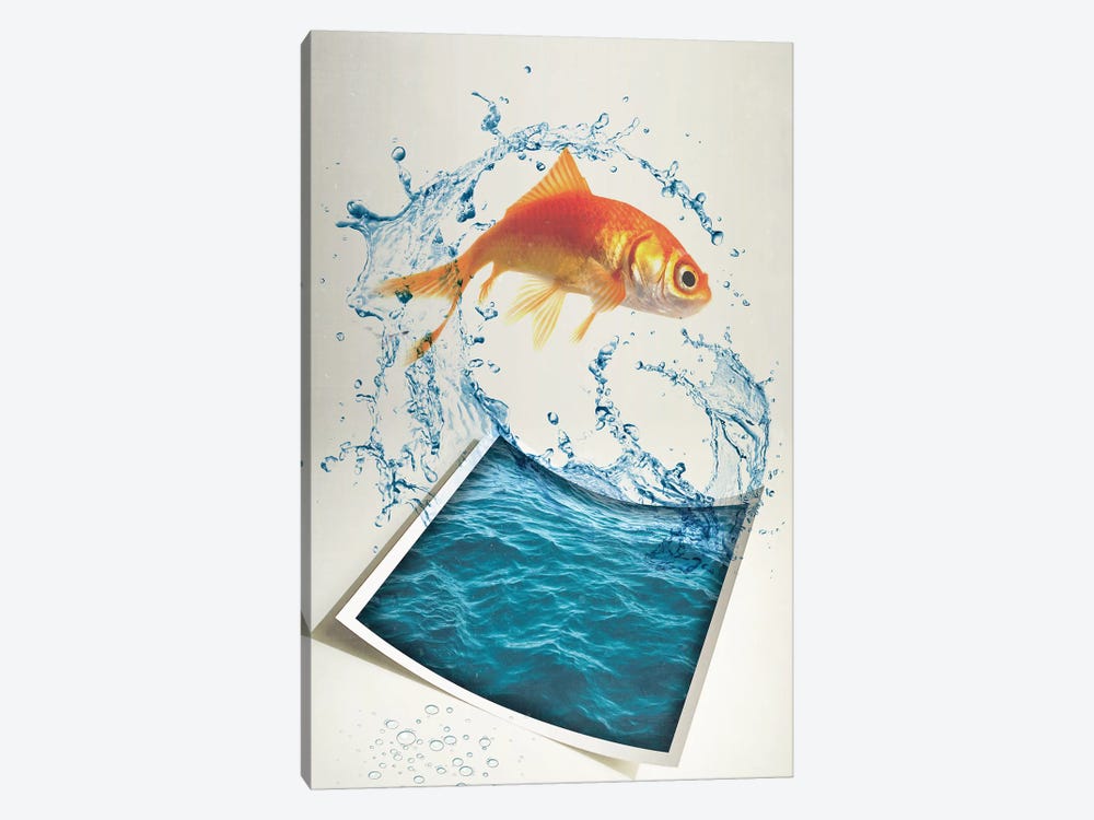 Jumping Goldfish II by Vin Zzep 1-piece Canvas Art Print