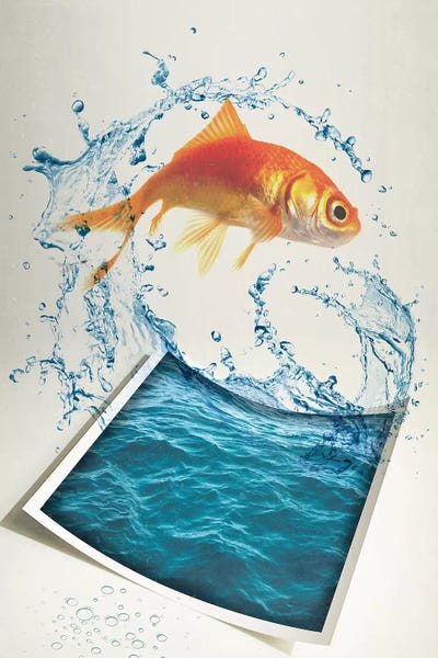 Goldfish: Jumping Goldfish II by Vin Zzep