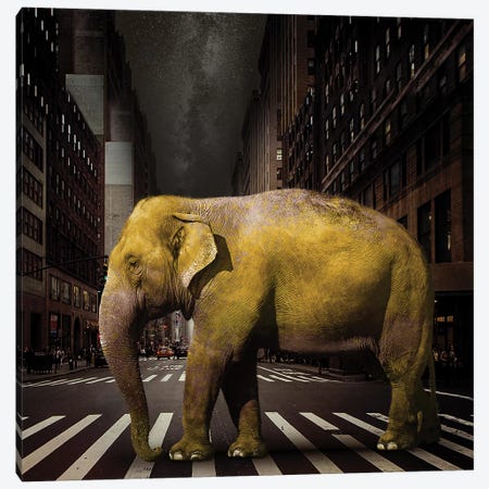 Elephant In NYC Canvas Print #ZEP15} by Vin Zzep Canvas Art