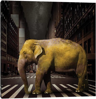 Elephant In NYC Canvas Art Print - Vin Zzep