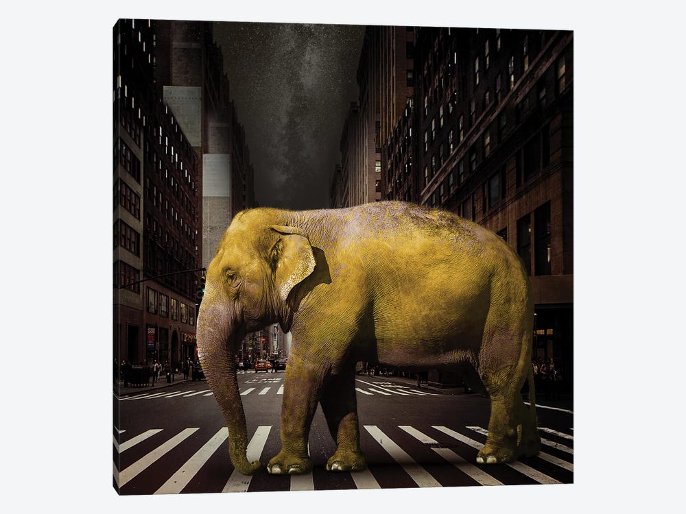 Elephant In NYC by Vin Zzep 1-piece Canvas Art Print