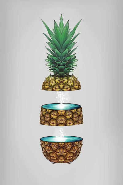 Pineapple Space by Vin Zzep art print