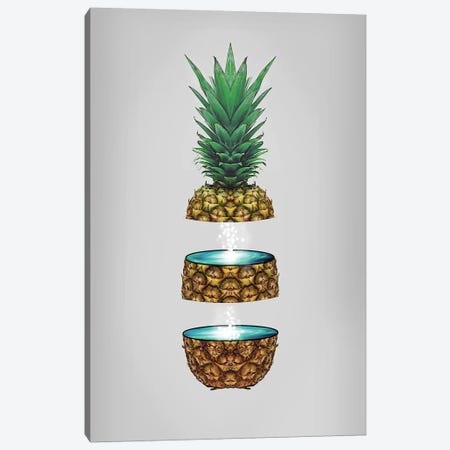 Pineapple Space Canvas Print #ZEP160} by Vin Zzep Canvas Artwork