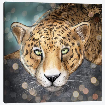 Snow Leopard Canvas Print #ZEP168} by Vin Zzep Canvas Art