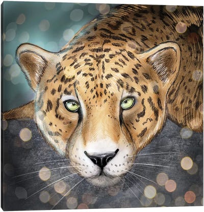 Snow Leopard Canvas Art Print - Vin Zzep