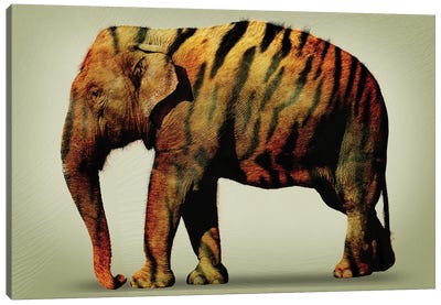 Tiger Elephant Canvas Art Print - Vin Zzep
