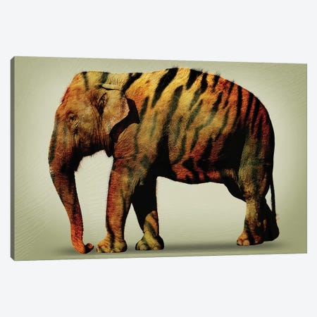 Tiger Elephant Canvas Print #ZEP182} by Vin Zzep Canvas Artwork