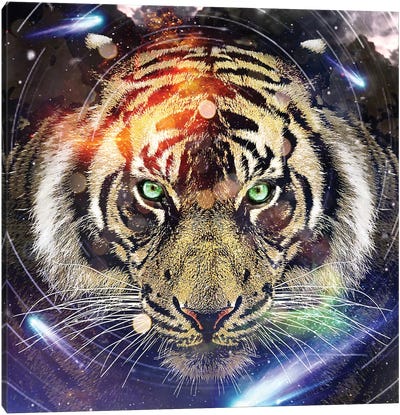 Tiger II Canvas Art Print - Tiger Art