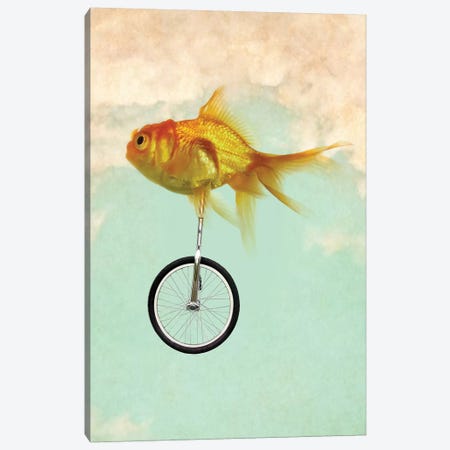 Unicycle Goldfish II Canvas Print #ZEP188} by Vin Zzep Canvas Artwork