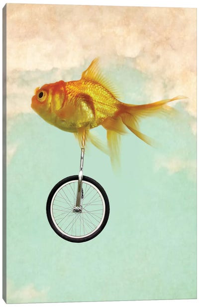 Unicycle Goldfish II Canvas Art Print - Goldfish