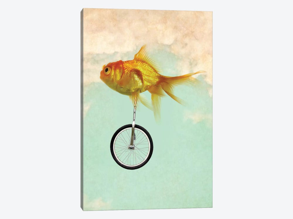 Unicycle Goldfish II by Vin Zzep 1-piece Canvas Art Print