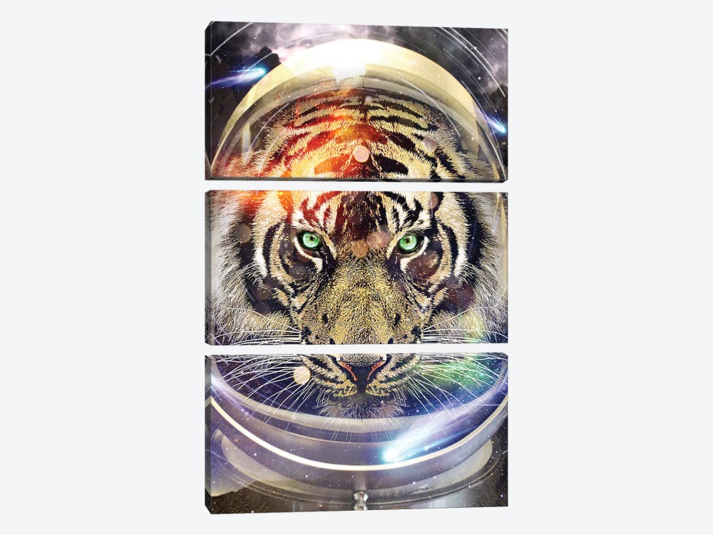 Astro Tiger by Vin Zzep 3-piece Canvas Print