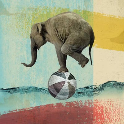 Balance Elephant by Vin Zzep acrylic art print