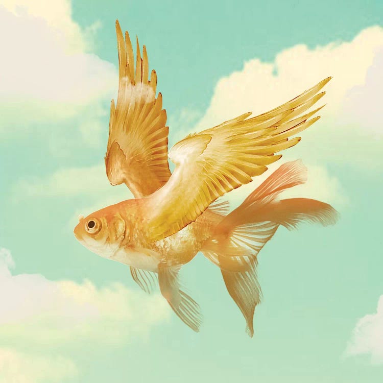 Flying Goldfish