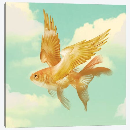 Flying Goldfish Canvas Print #ZEP22} by Vin Zzep Canvas Wall Art