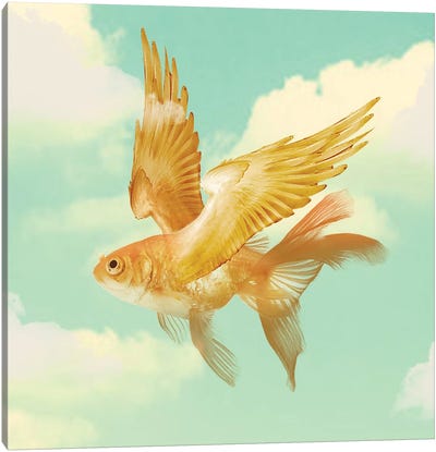 Flying Goldfish Canvas Art Print - Vin Zzep