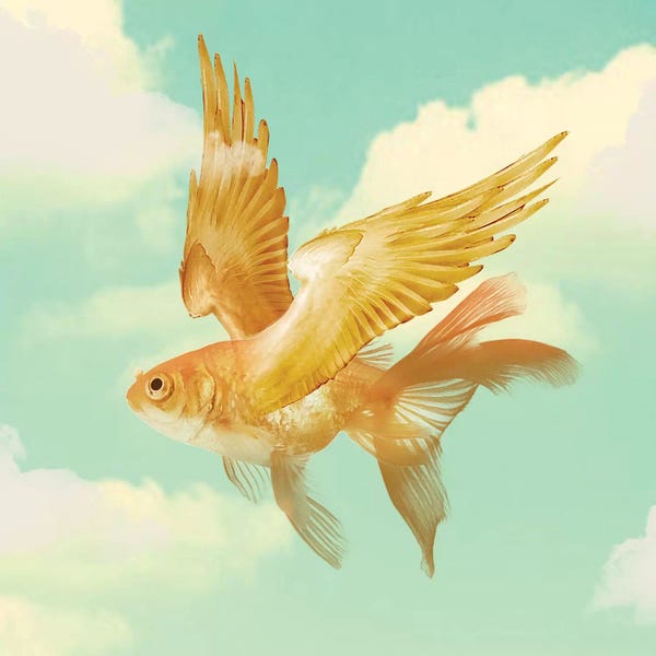 Kids Ocean Life Art: Flying Goldfish by Vin Zzep