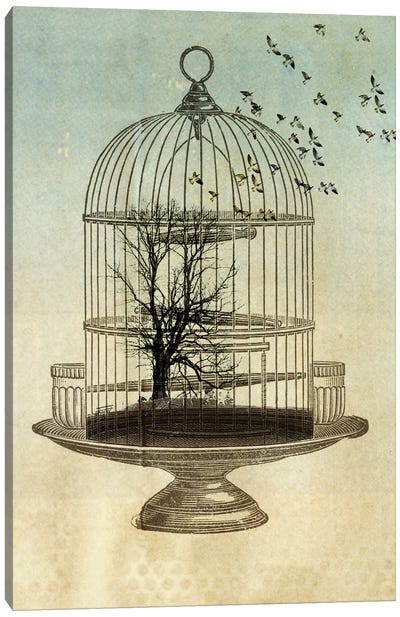 Free Birds Canvas Art Print - Vin Zzep